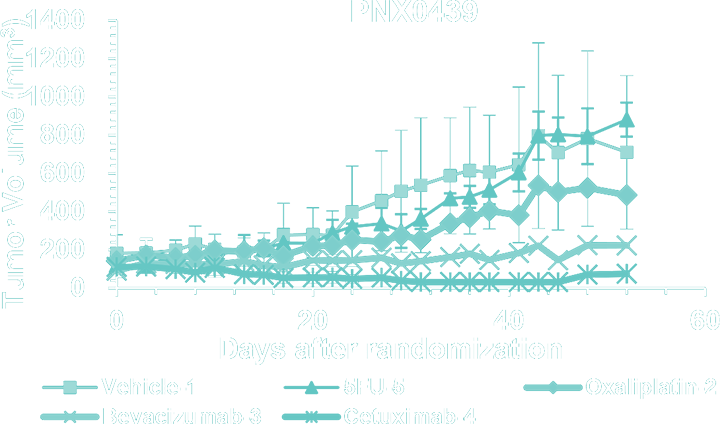 Graph 9