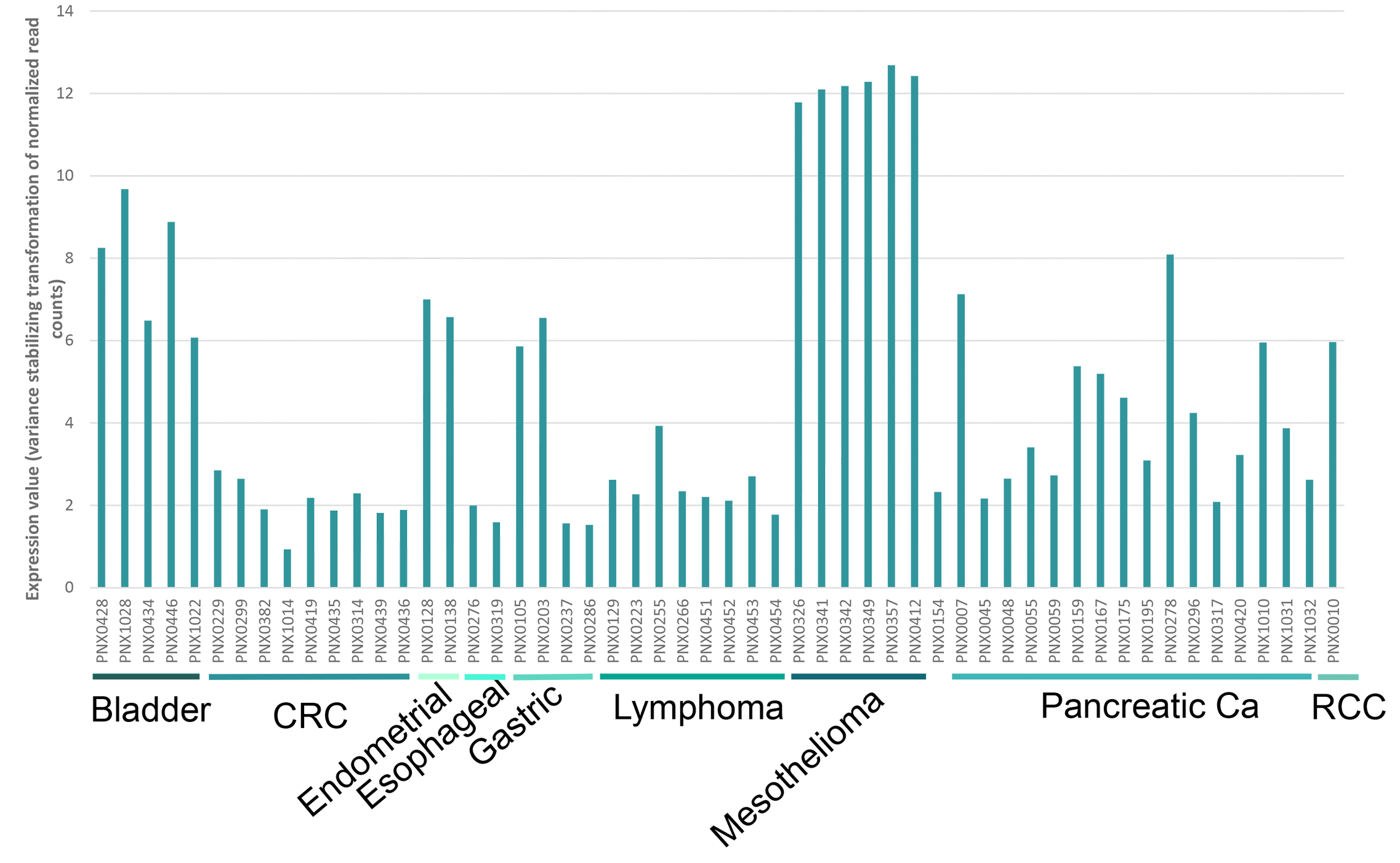 Graph 1: Relative mRNA Expression of ANTRXR1 in PDX Tumors