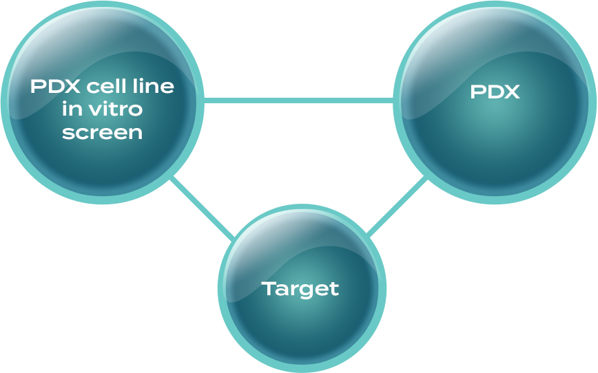 PDX Discovery Platform Illustration