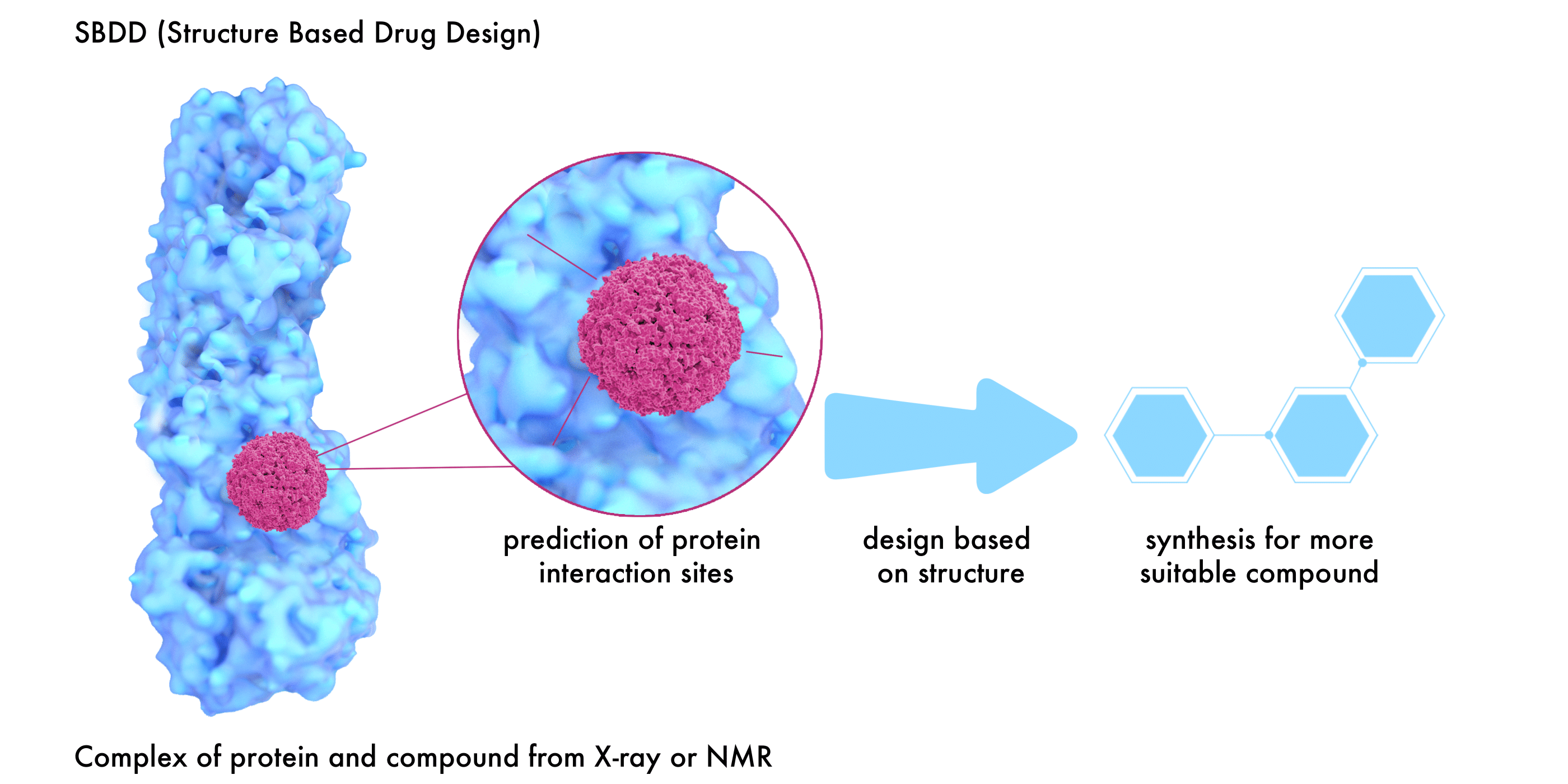 Structure-Based Drug Design, Identification and Characterization ...